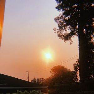 Meet your Posher, Gabriella